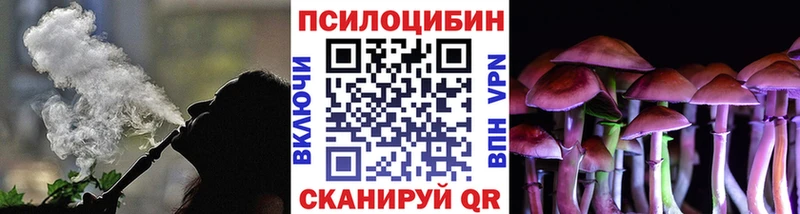 площадка клад  цена   Прокопьевск  Галлюциногенные грибы Cubensis 