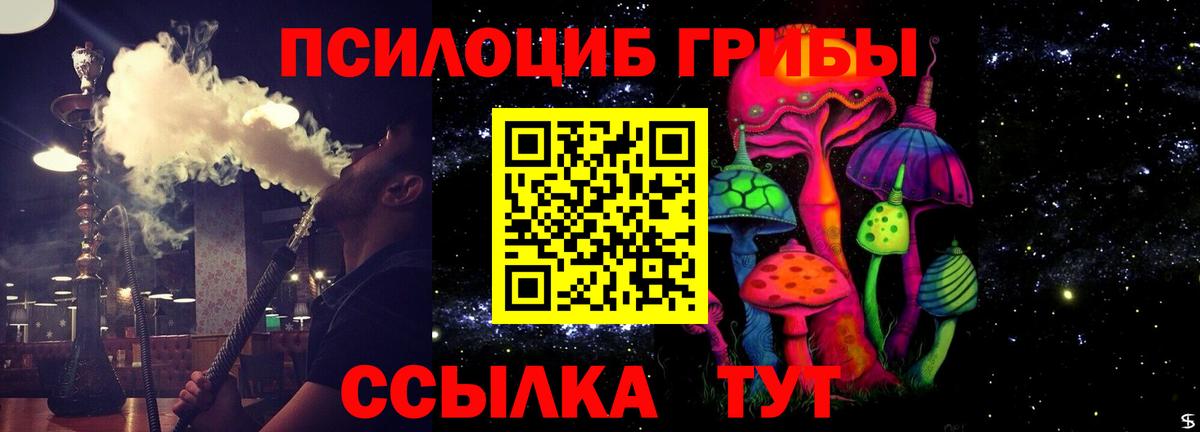 Прокопьевск  Псилоцибиновые грибы MAGIC MUSHROOMS  Вход с VPN 